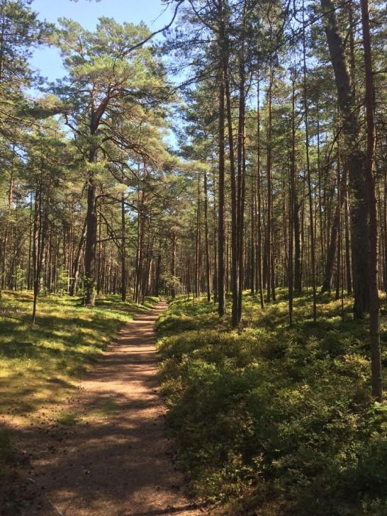 Elegant villa for sale in Jurmala