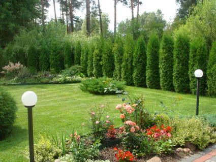 Tiek izīrēts māja uz vasaras sezonu Jurmalā Tiek izīrēts māja uz vasaras sezonu Jurmalā