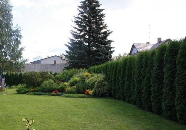 Предлагаем на продажу дом в Юрмале , в Вайвари. Предлагаем на продажу дом в Юрмале , в Вайвари.