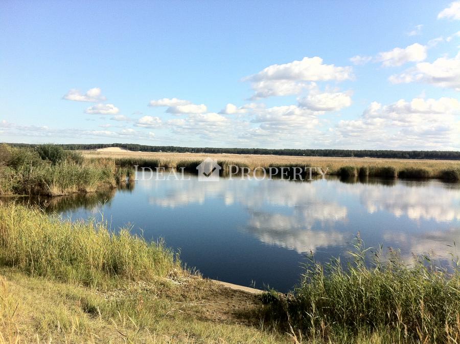 Земля в Лиелупе на берегу реки