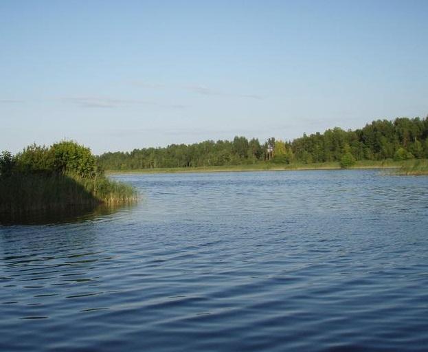 Pārdod zemes gabalu Lapmezciema