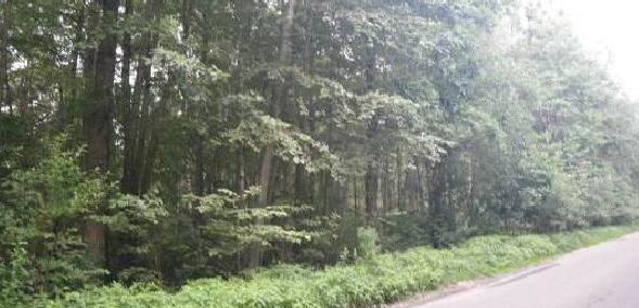 Pārdod zemi ar kopējo platību 69032 kv. m.