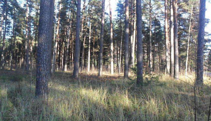 We offer plot of land  in Jurmala, Slokas street