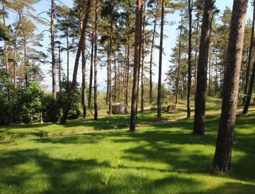 Land for sale in Melluzi