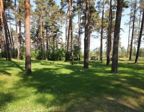 Land for sale in Melluzi