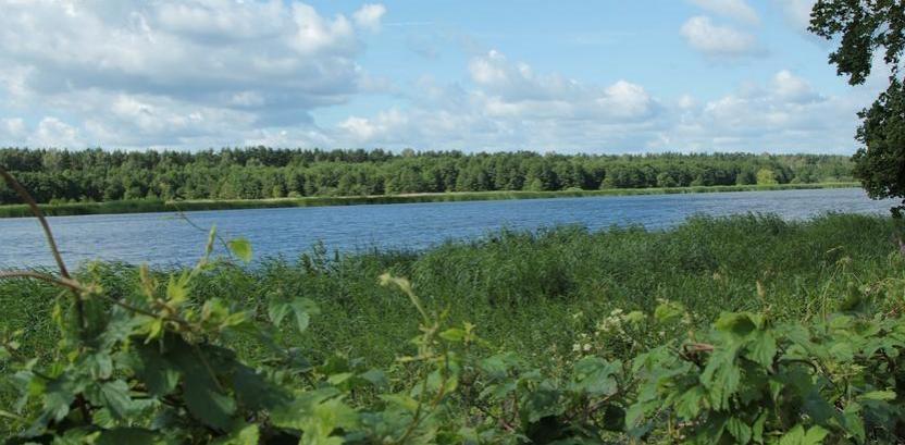 Мы предлагаем для продажи красивый участок земли в Юрмале Мы предлагаем для продажи красивый участок земли в Юрмале