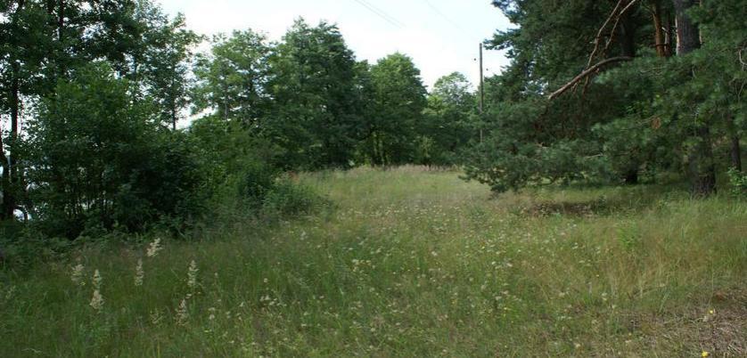 We offer for sale a plot of land in Baltezers