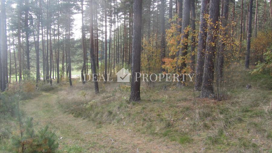 We offer for sale a plot of land  in Baltezers