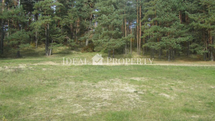 We offer for sale a plot of land  in Baltezers