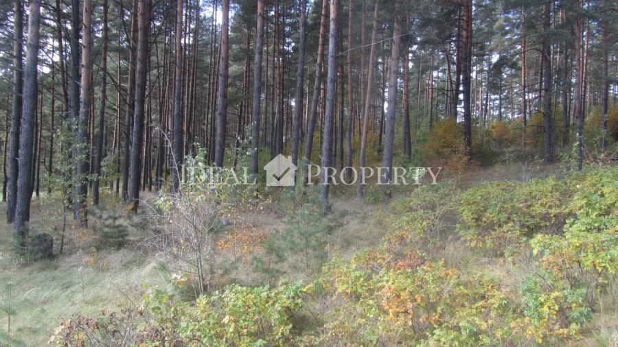 We offer for sale a plot of land  in Baltezers