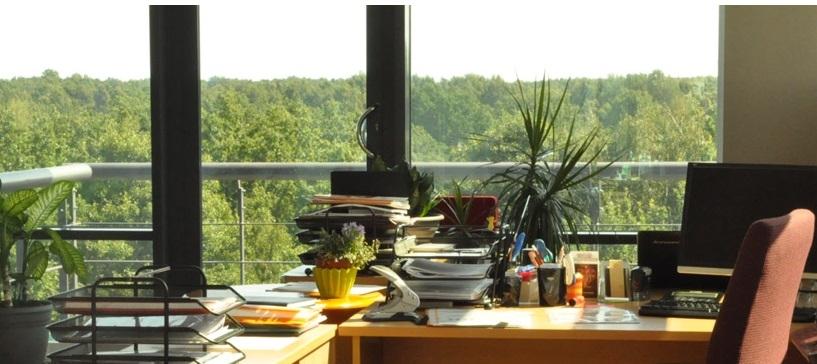 Коммерческое помещение на аренду в Пардаугаве