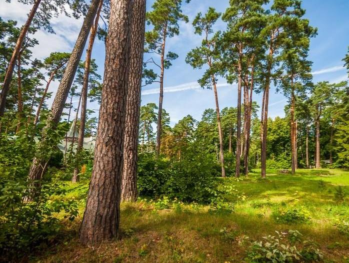 A lovely building plot in the coastal resort town Jurmala, Bulduri