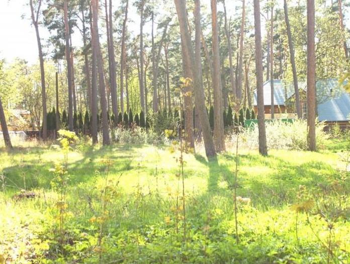 A lovely building plot in the coastal resort town Jurmala, Bulduri