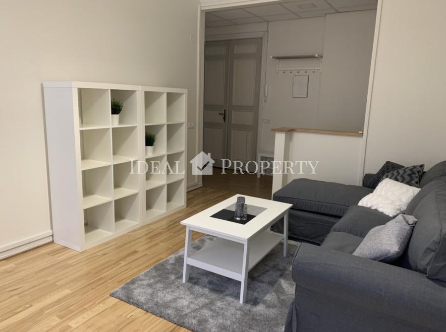 A new, light, newly furnished apartment in downtown Riga is offered for rent. 