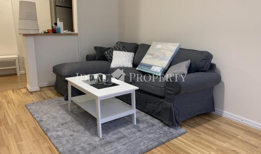 A new, light, newly furnished apartment in downtown Riga is offered for rent. 