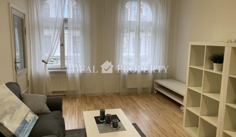 A new, light, newly furnished apartment in downtown Riga is offered for rent. 