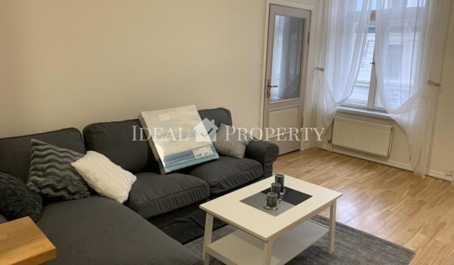 A new, light, newly furnished apartment in downtown Riga is offered for rent. 