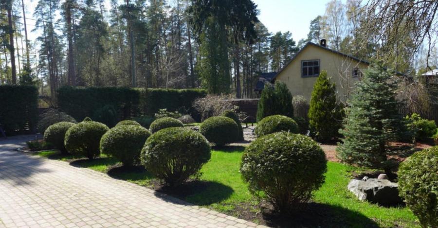 Tiek izīrēta māja Jūrmalā, Gulbju ielā Valteros.