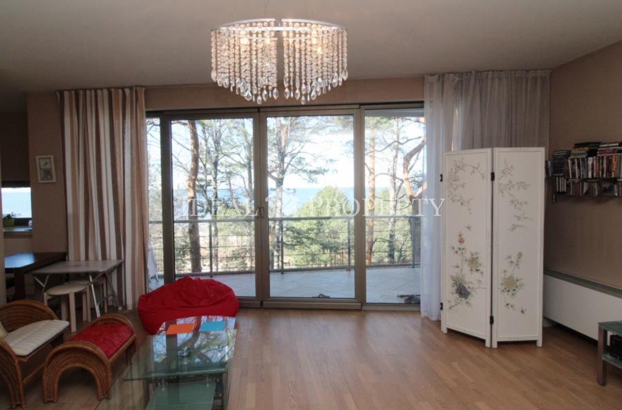 An exquisite apartment with the sea and dune views is available for rent.