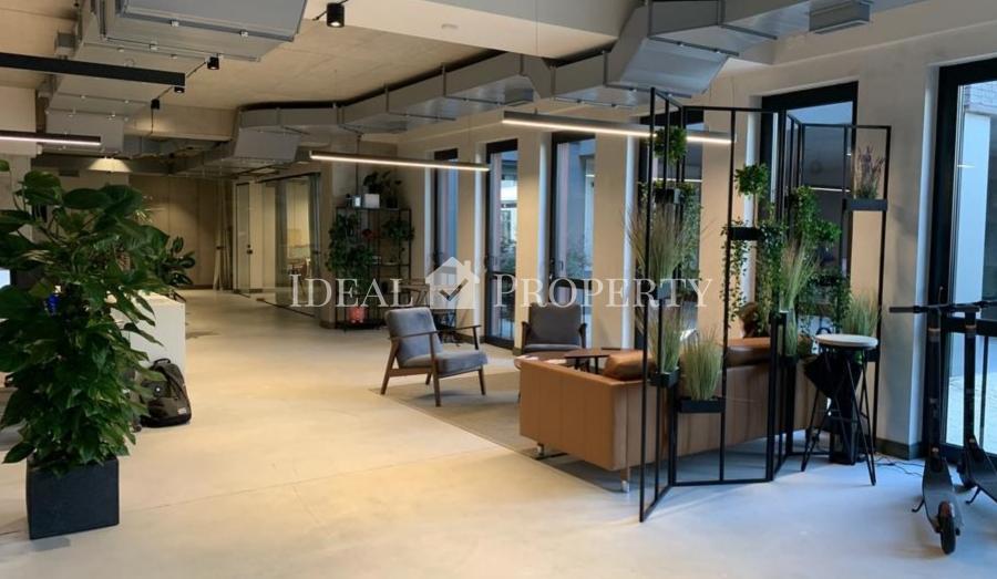 Open-plan office space is offered for rent in the renovated wooden building project 