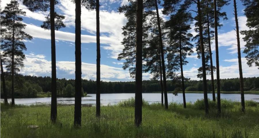 Māja uzire ekskluzīvā ciematā Taureņi, pirmajā līnijā.