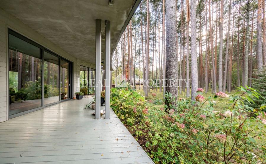 For sale / rent  is a modern house in Jurmala, with a wonderful spacious plot of land with evergreen pines.