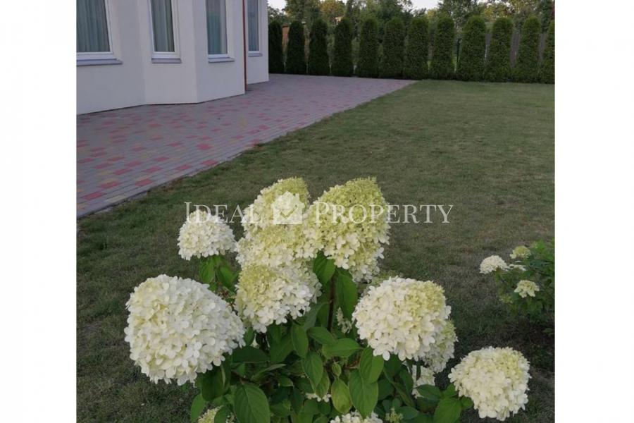 Modern and bright private house, in a quiet area in Melluzi.