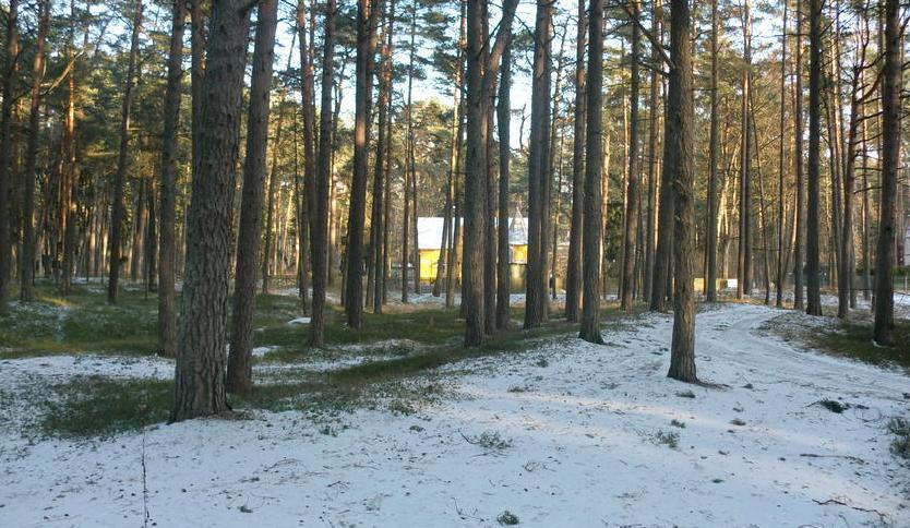 For sale is offered a lovely plot of land in the coastal resort town Jurmala.