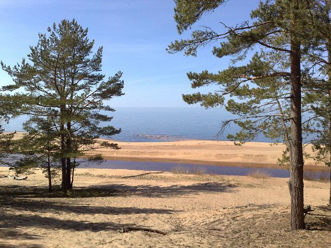 Земля под коммерческую застройку в посёлке Звейниекциемс