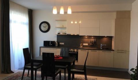 Modern studio-type apartment in new project 